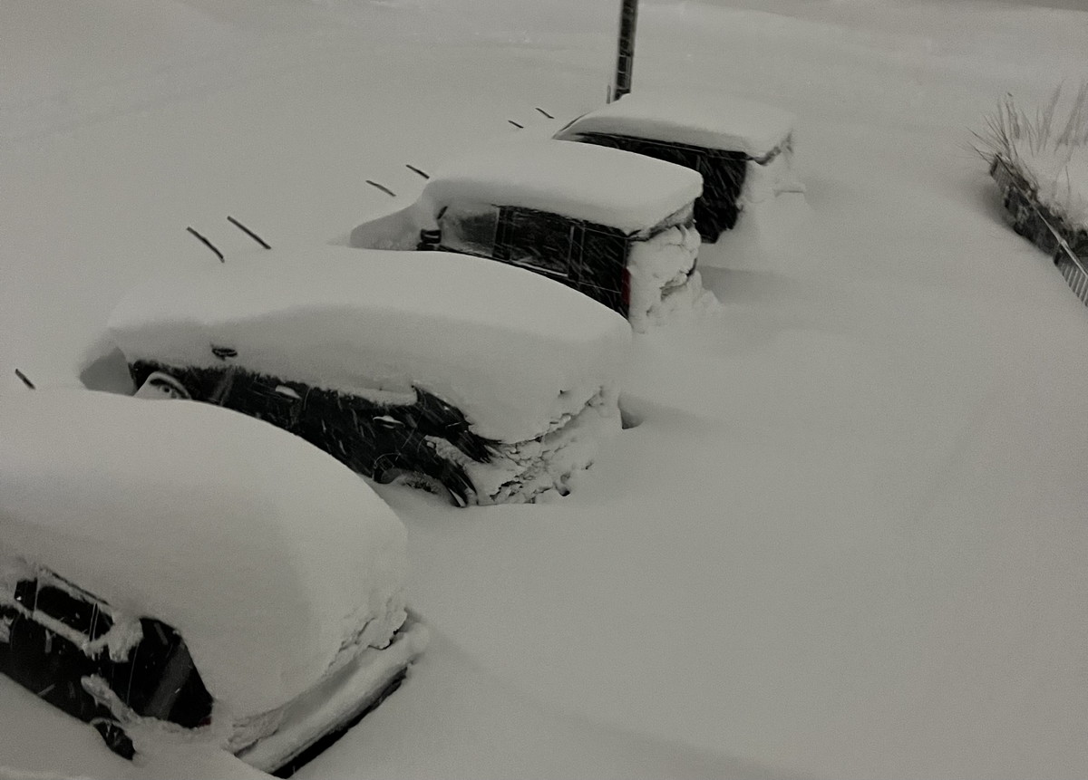 IMG_97111.jpg